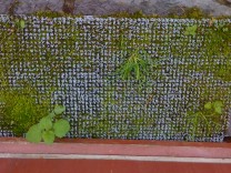 Random photographs
